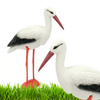 Bocian ogrodowy figurka do ogrodu XXL