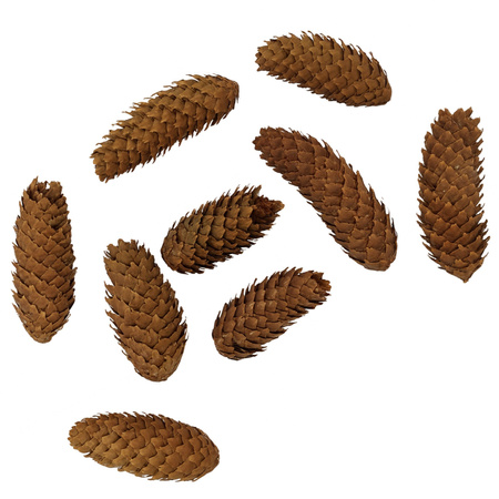 Naturalne szyszki ozdobne świerkowe świerk zestaw do dekoracji na stroik