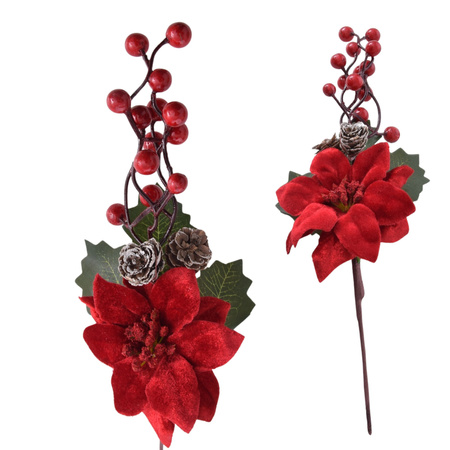 Świąteczna gałązka gwiazda betlejemska głóg szyszki gałązki na stroik