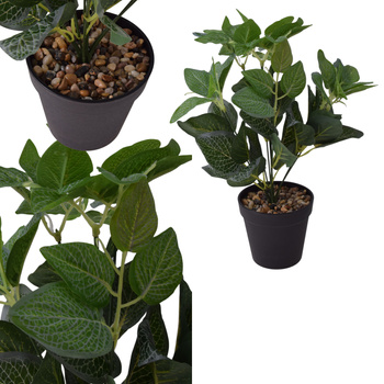 Fittonia nerwówka w doniczce sztuczny sztuczna roślina doniczkowa 35cm