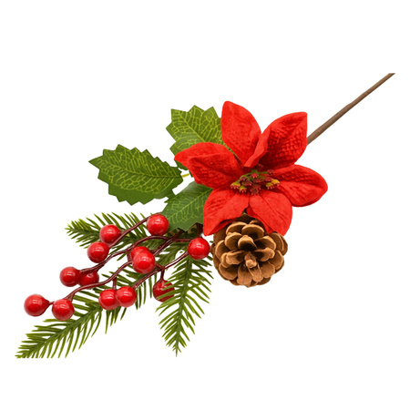 Świąteczna gałązka gwiazda betlejemska głóg szyszki gałązki na stroik