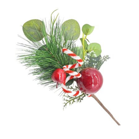 GŁÓG JARZĘBINA CZERWONA OWOCE SZYSZKA GAŁĄZKA NA STROIK