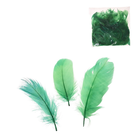 PIÓRA PIÓRKA DEKORACYJNE OZDOBNE13G 6-10CM ZIELONE 10g