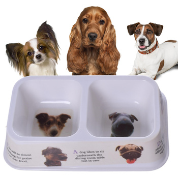 MISKA MISECZKA DLA PSA PODWÓJNA DZIELONA PLASTIKOWA MISKI DLA PSÓW