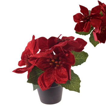 GWIAZDA BETLEJEMSKA W DONICZCE SZTUCZNA WELUROWA POINSECJA JAK ŻYWA 26cm